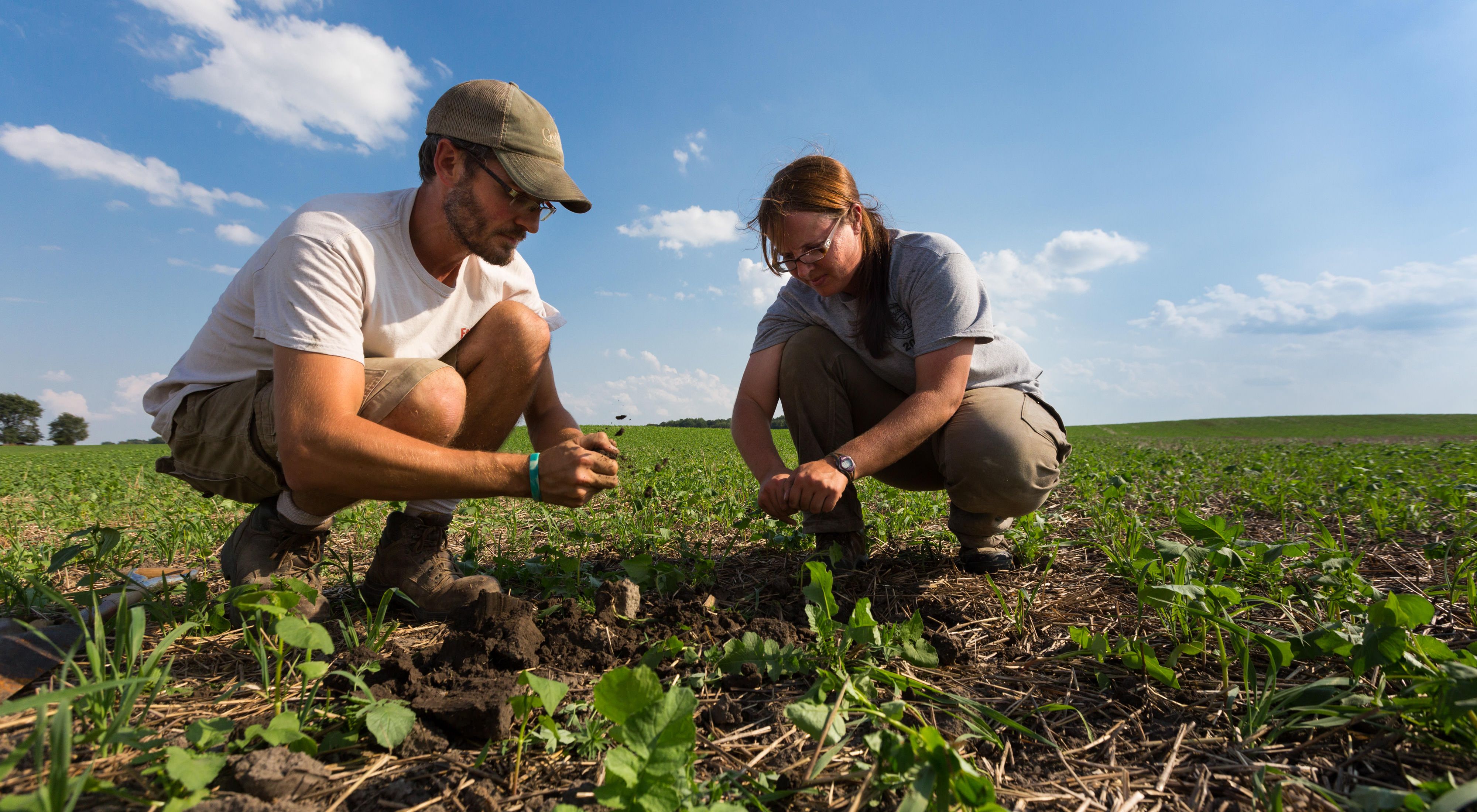 Sustainable Farming